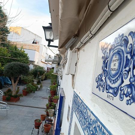 Tipico Y Pintoresco Patio De Vecinos, Con Encanto Sevilla Buitenkant foto