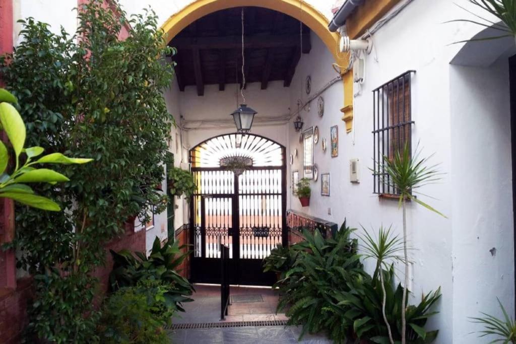 Tipico Y Pintoresco Patio De Vecinos, Con Encanto Sevilla Buitenkant foto
