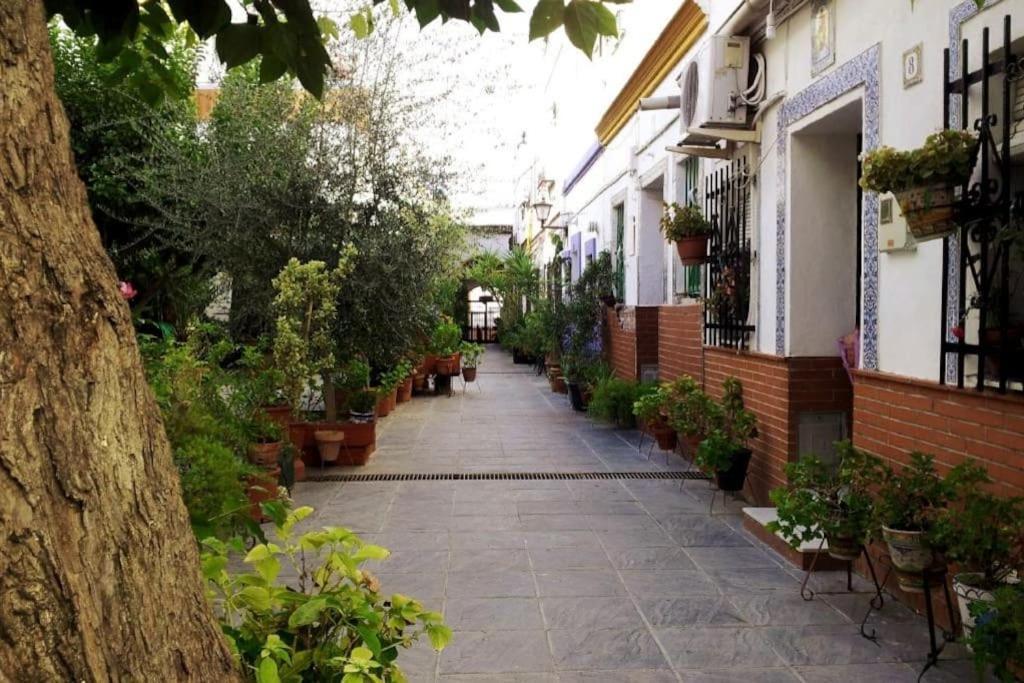 Tipico Y Pintoresco Patio De Vecinos, Con Encanto Sevilla Buitenkant foto